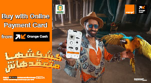 Online Payment Visa Card
