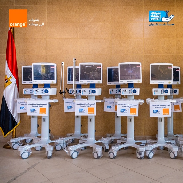 The Egyptian Cure Bank