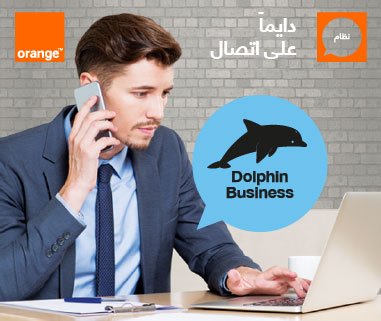 Dolphin Business Dolphin Business
