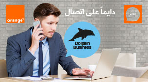 دولفين بيزنس