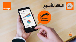 پانثر بيزنس